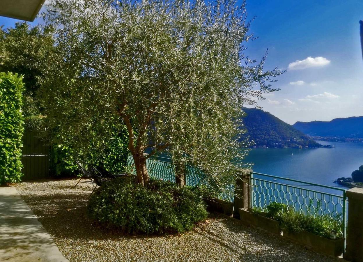 Como Lake Panorama Apartment Sveva Cernobbio Eksteriør billede
