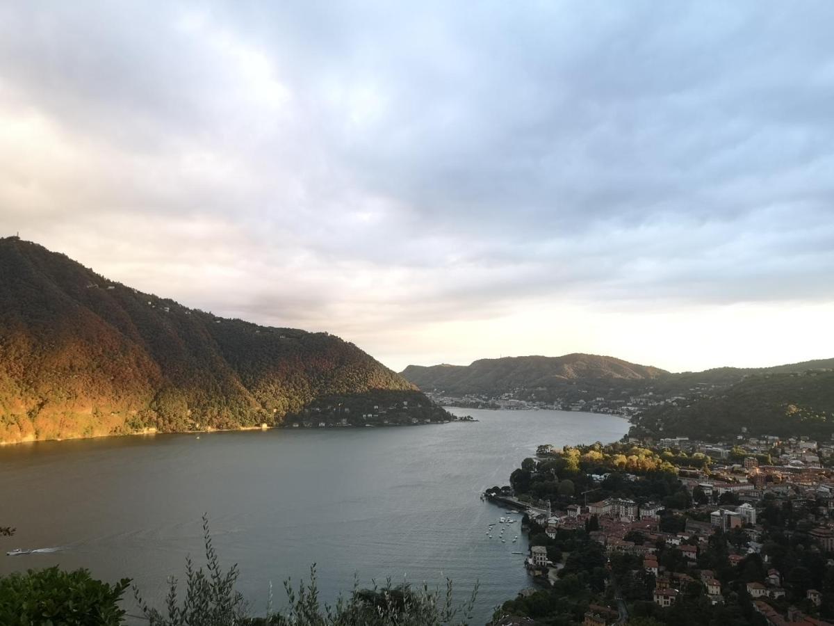 Como Lake Panorama Apartment Sveva Cernobbio Eksteriør billede
